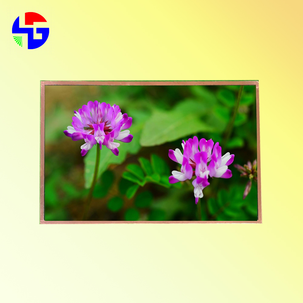HG101WX026T01