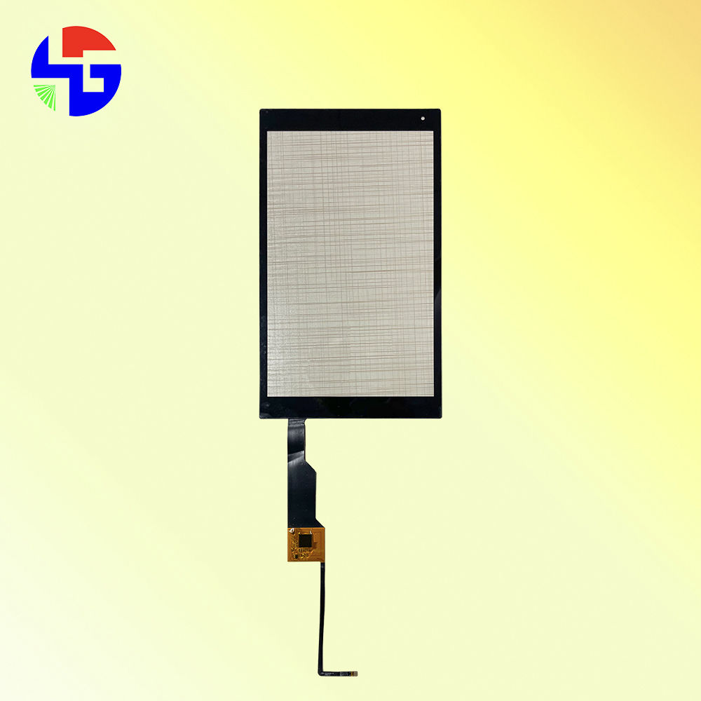 CTP-HG101WU008T01